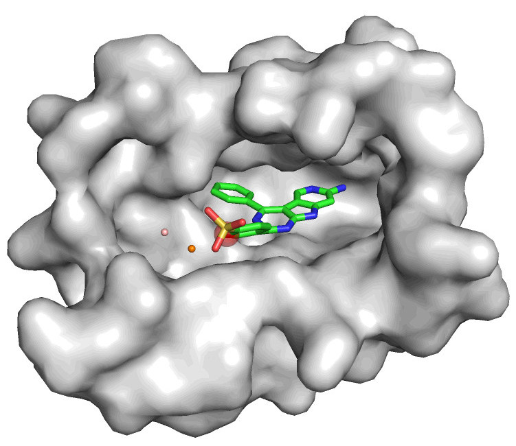 Autoregressive fragment-based diffusion for pocket-aware ligand design